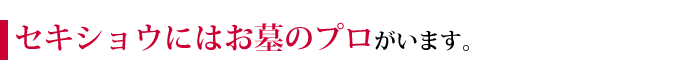 セキショウにはお墓のプロがいます