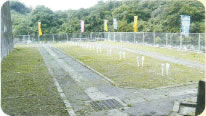 唐湊公園墓地内